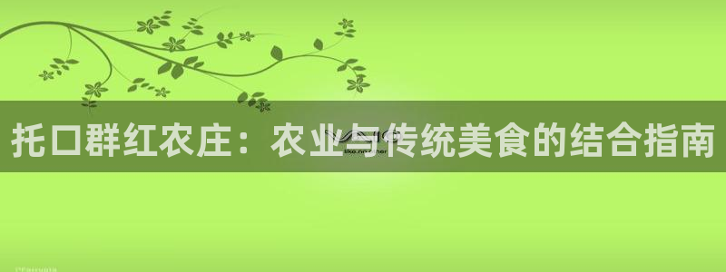 金金年会