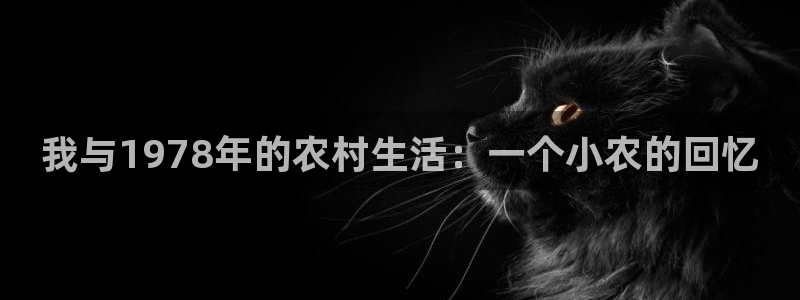 金年会入口