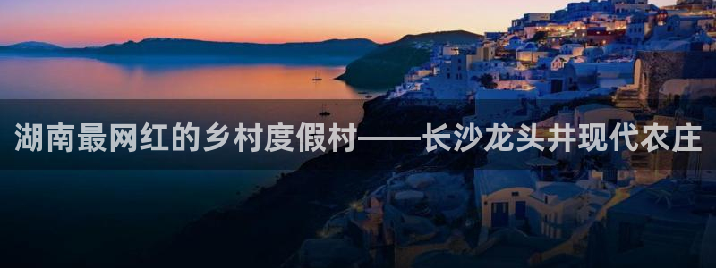 金 金年会