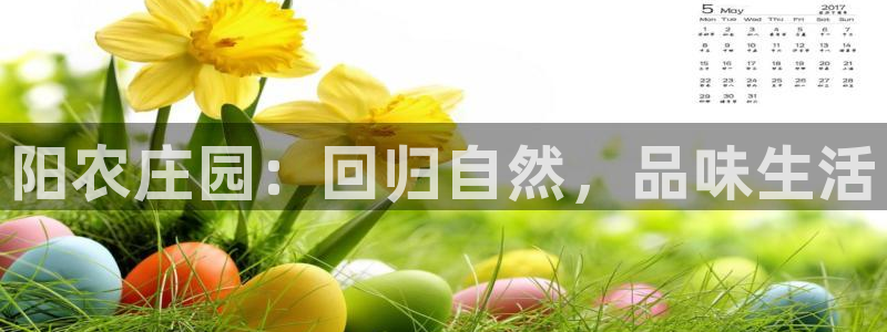 金年会app