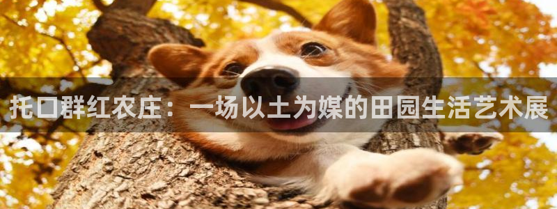 金年会在线