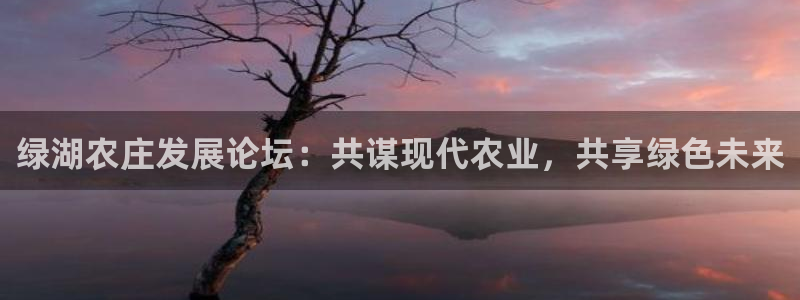 金年会平台是真的吗