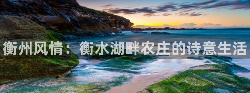 金年会官方网站下载