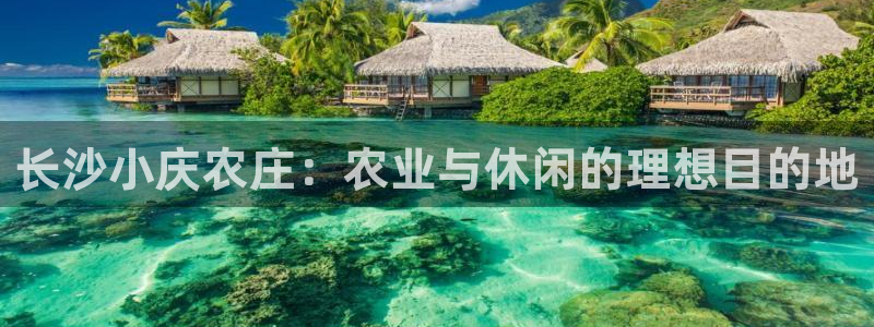 金年会平台游戏