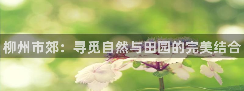 金年会金字招牌下载