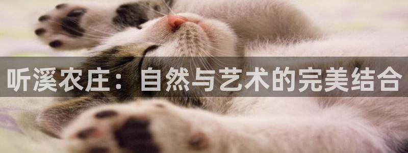 金年会综合APP