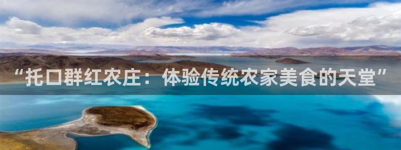 金年会退款