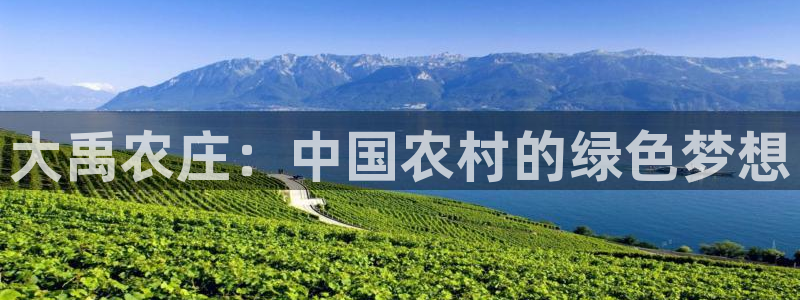 类似金年会
