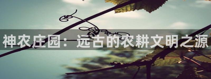 金年会体育app下载