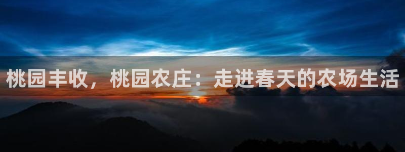 金立年会