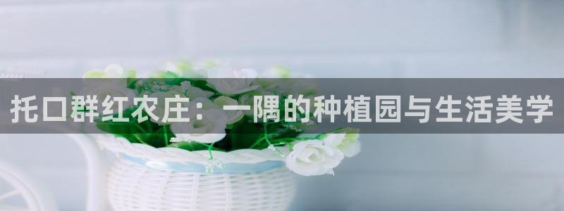 金靖年会