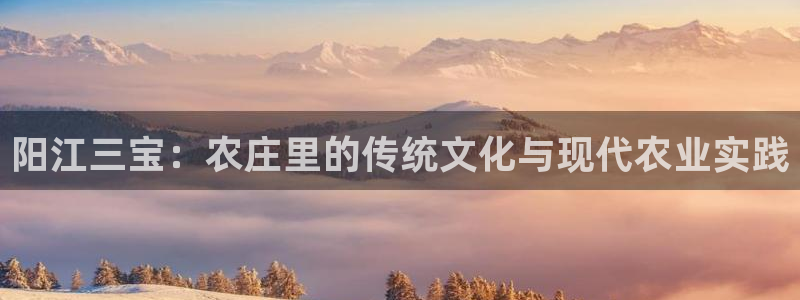 金年会入口网站