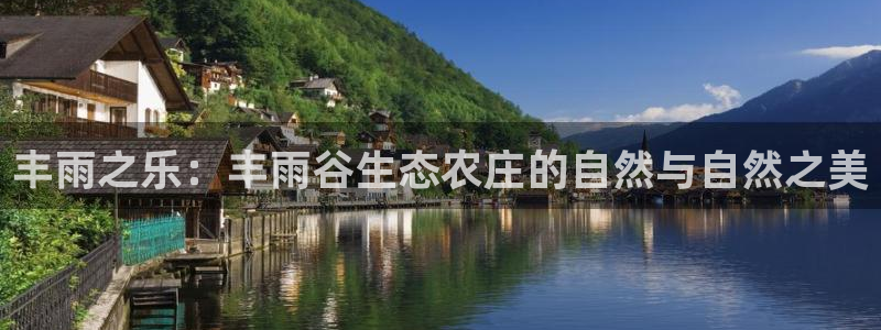 金年会退款