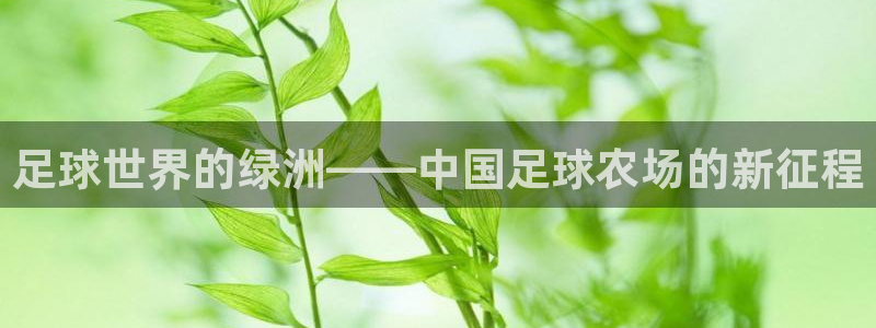 金年会平台登陆