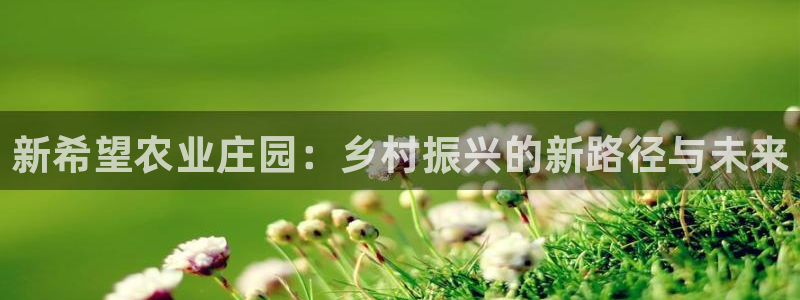 陆金所 年会