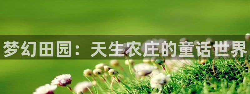 金年会彩金