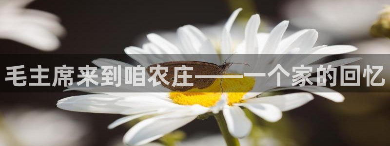 金年会电子游戏app