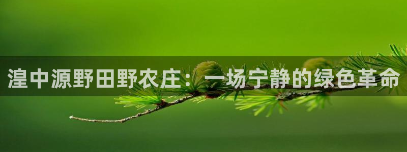 金年会手机官网