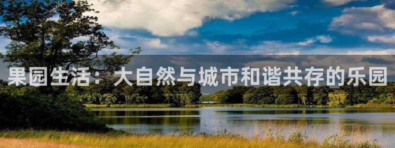 金年会是啥
