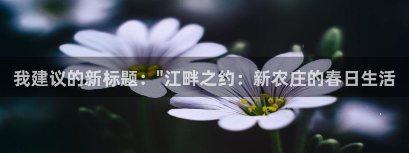 金实年会
