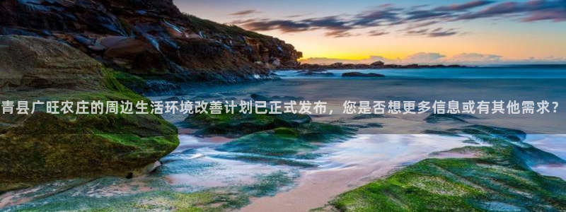 金年会体育app官网