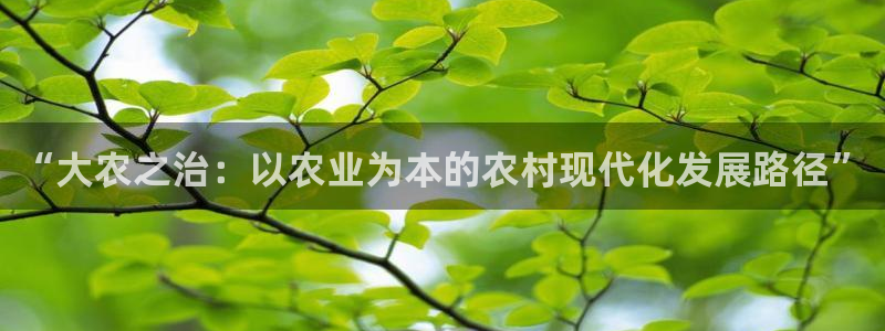 金年会app