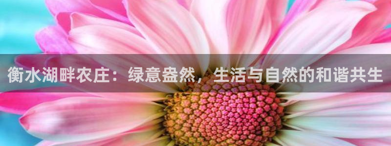 金年会软件之家下载