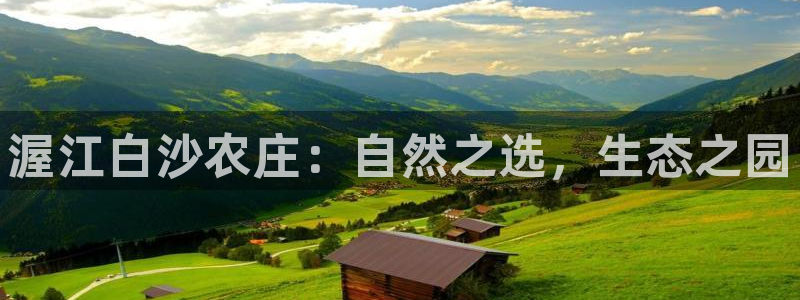 金年会平台