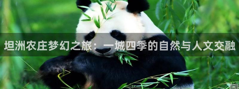 金年会ios下载