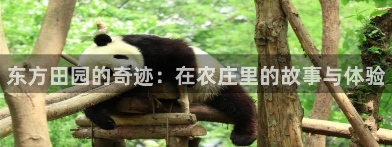 金年会金年会