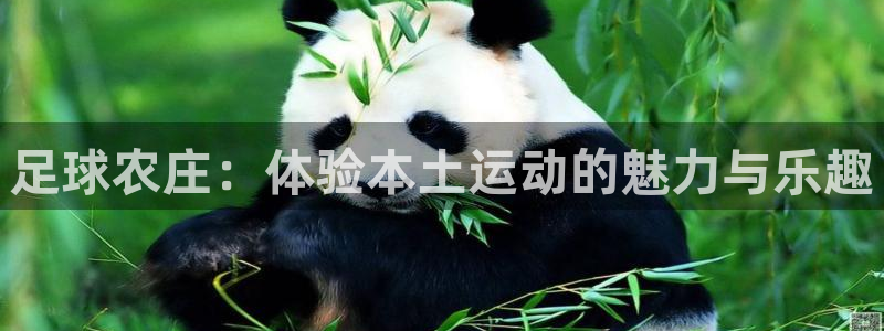 金年会下载官方