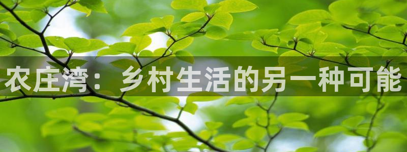 金年会国际
