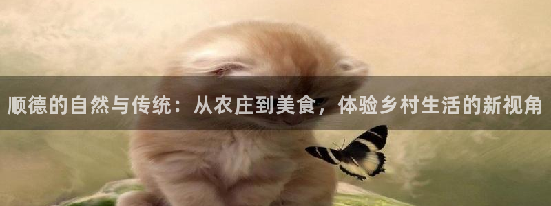 金年会官网登入