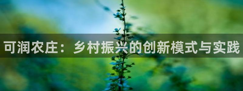 金年会体育app