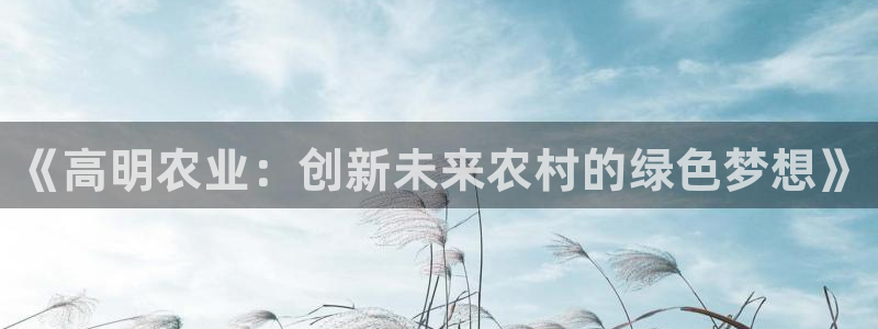 金年会com