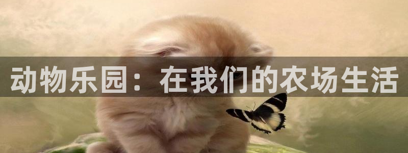 金年会在线