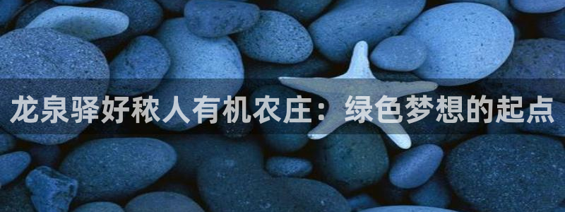 金哥年会