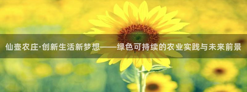 金年会体育官网在线