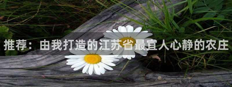 金哥年会