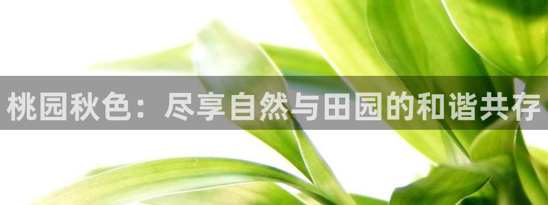 金年会体育下载