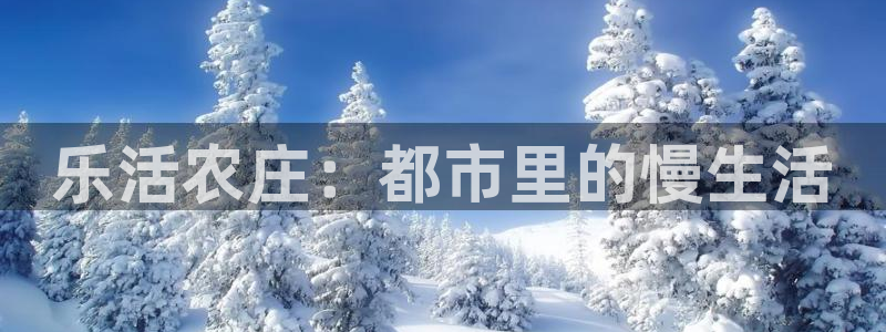 陆金所 年会