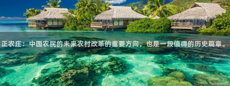 金年会官网地址