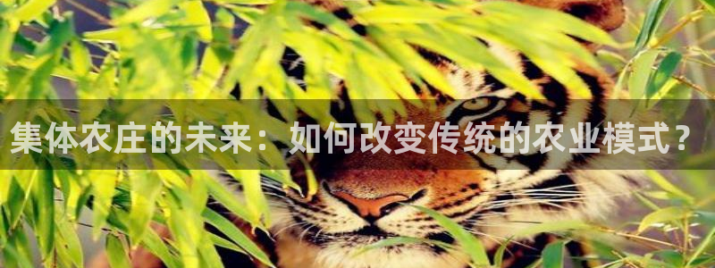 年会金