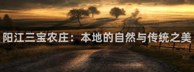 金年会金年华