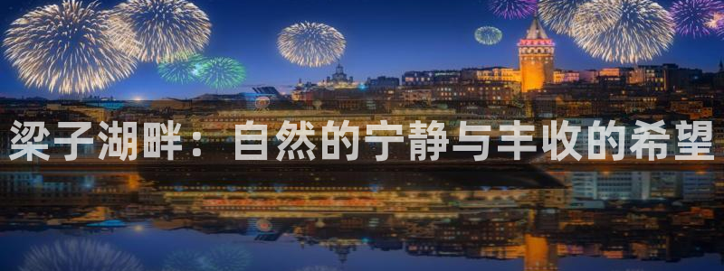金年会代理
