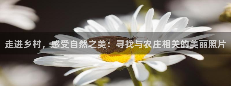 金年会游戏官网