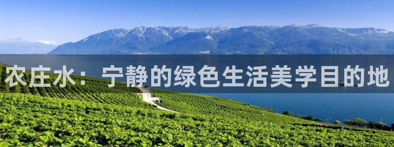 金年会APP下载