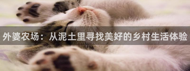 金年会最新登录网站