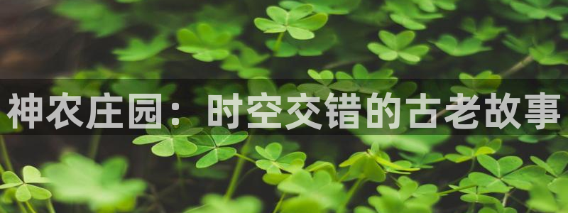 金年会提款