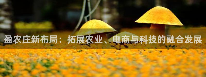 jinnian金年会